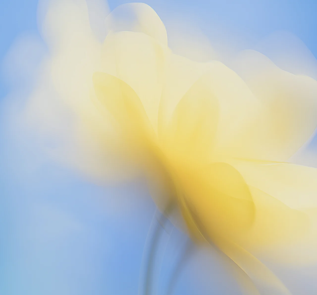 Dynamic Content Image